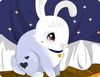 Little Bunny Beautiful